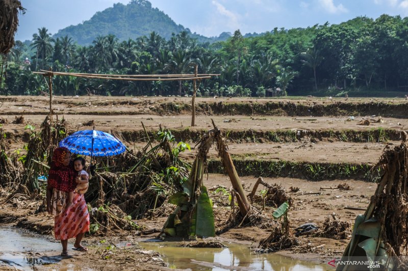 Tenaga pendamping desa bantu korban banjir di Lahat